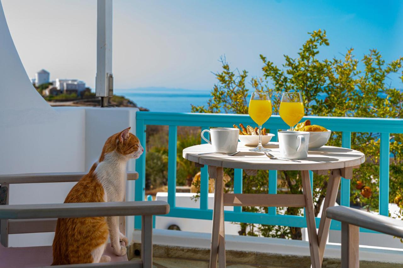 Aegean Dream Apartments Τήνος Εξωτερικό φωτογραφία
